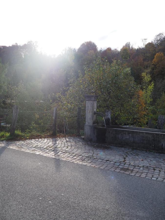 Ferienwohnung Dinkelbergblick Wehr  エクステリア 写真
